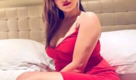 Escorts in Holiday Inn Delhi – Safe & Verified Models 9953706848